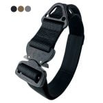 Cobra Buckle Dog Collar